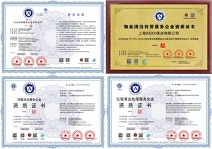 企業(yè)服務(wù)能力等級(jí)證書