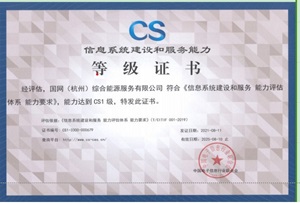 CS 信息系統(tǒng)建設(shè)和服務(wù)能力評估