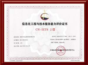 CN-IETS 信息化工程與技術(shù)服務能力評價書